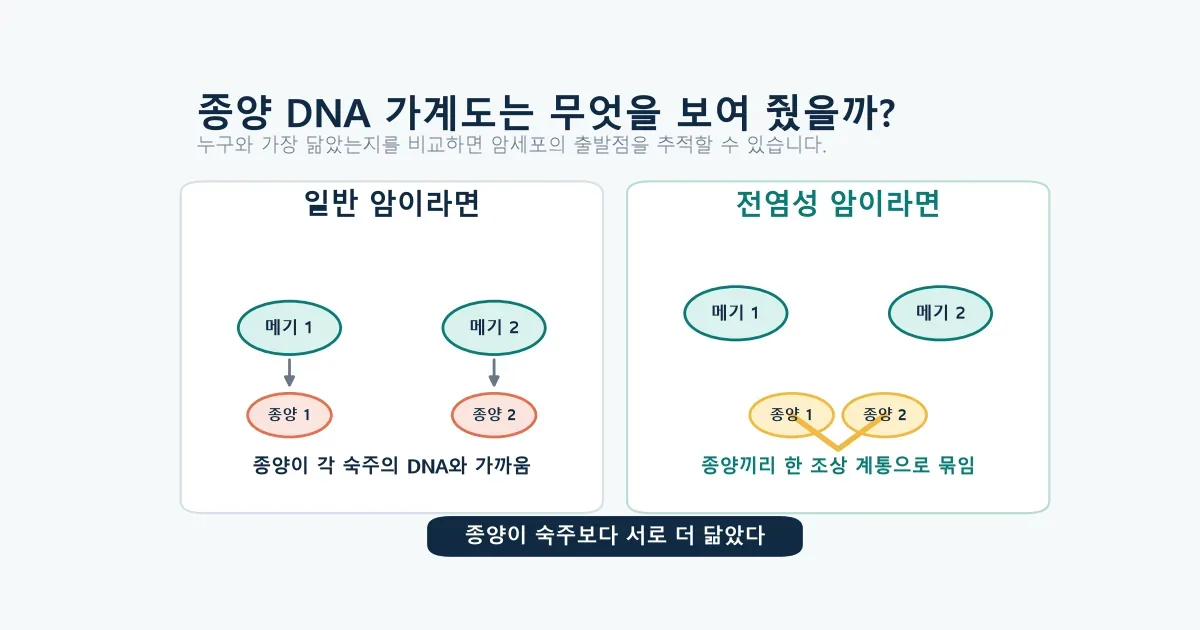 일반 암과 메기 전염성 암의 종양 DNA 가계도 차이