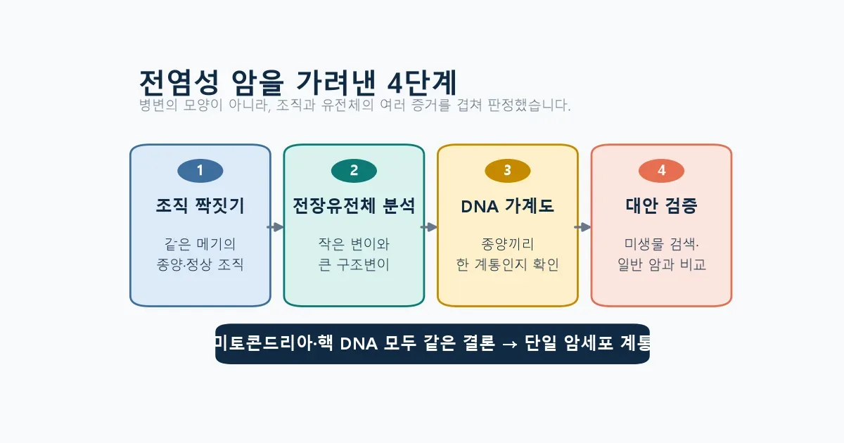 메기 전염성 암을 확인한 조직 유전체 분석 4단계