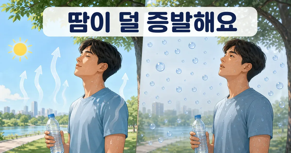 습도가 높을 때 땀 증발이 줄어 체감온도가 높아지는 원리 일러스트