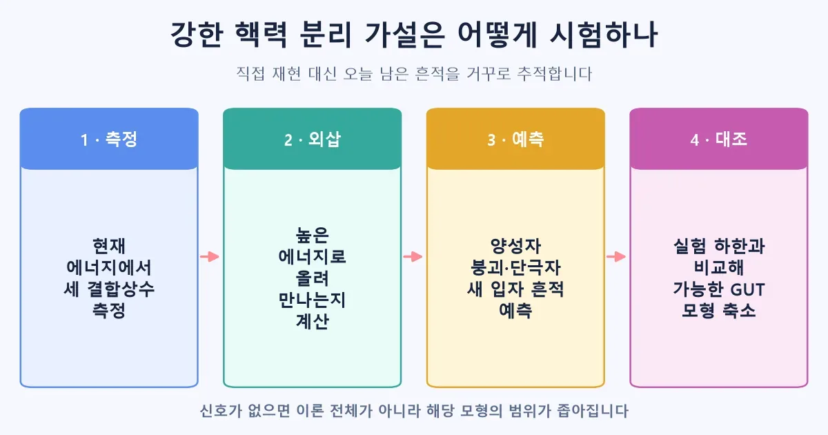 결합상수부터 양성자 붕괴까지 강한 핵력 분리 가설을 검증하는 흐름도