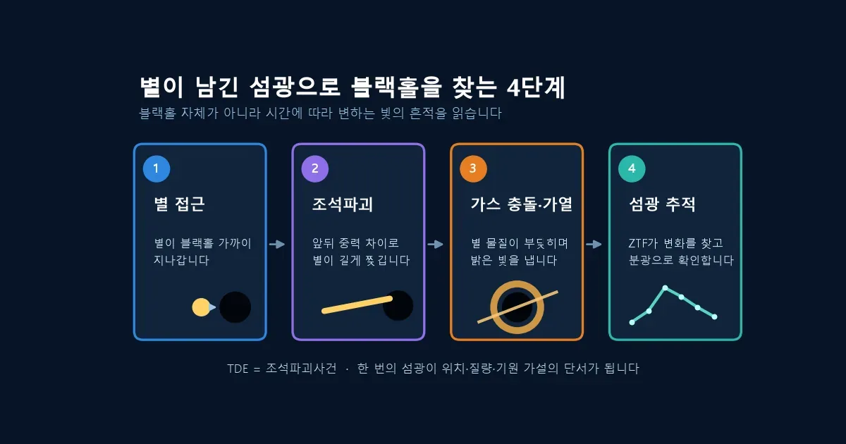 떠돌이 블랙홀이 별을 찢어 섬광을 만드는 조석파괴사건 과정